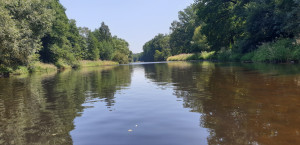 Otava